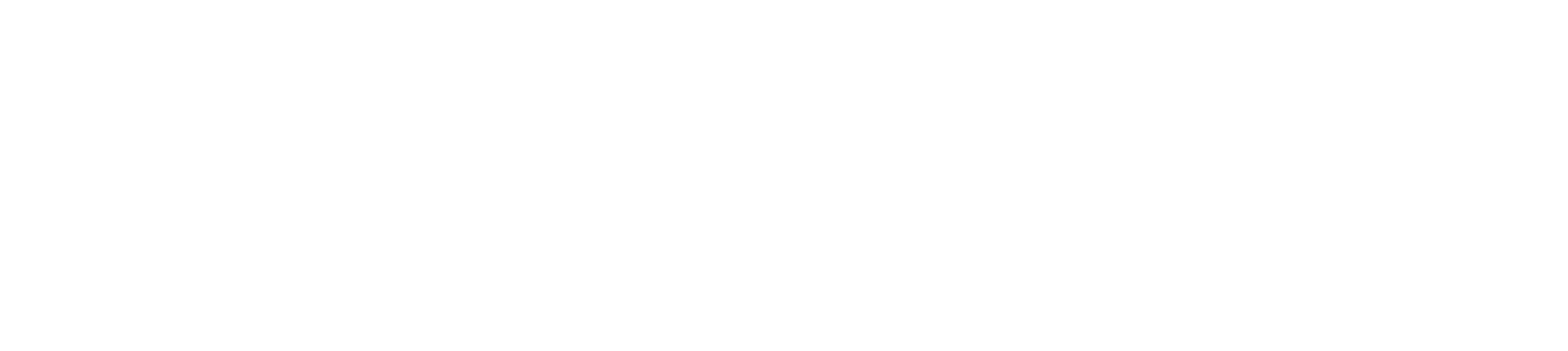 VELOZA partner logo