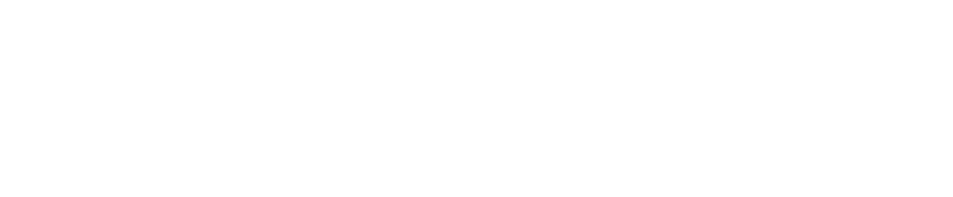 VELOZA partner logo