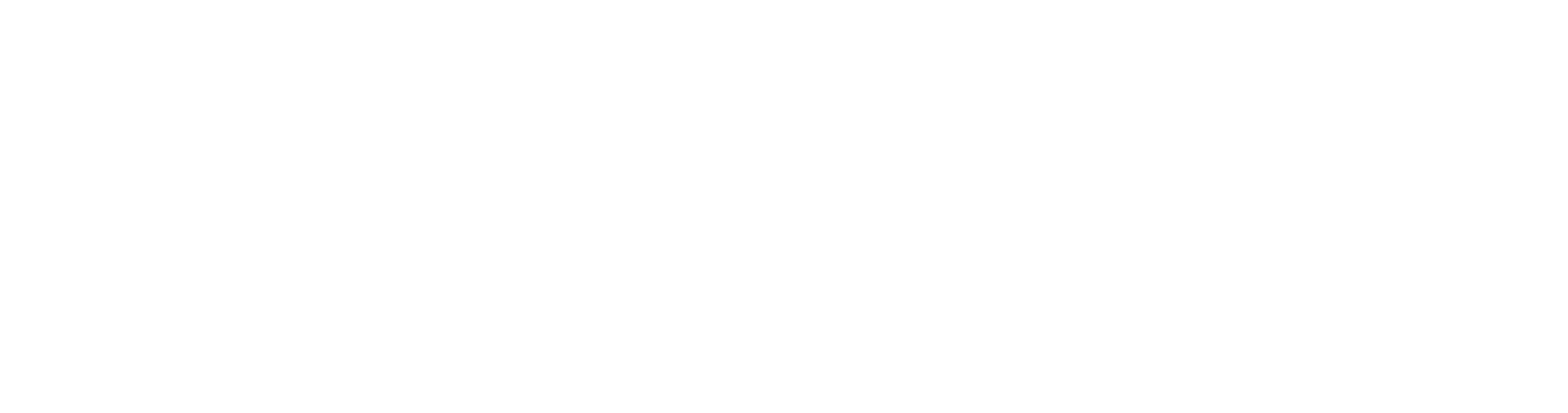 VELOZA partner logo
