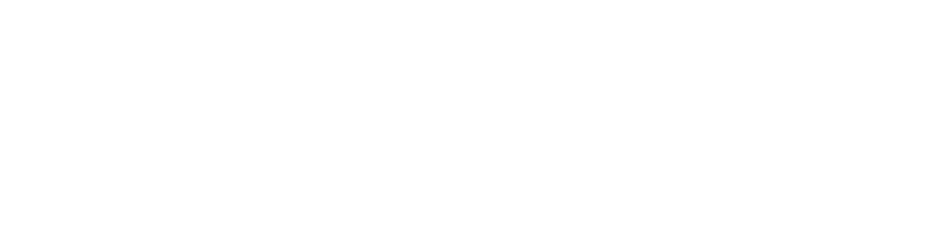 VELOZA partner logo