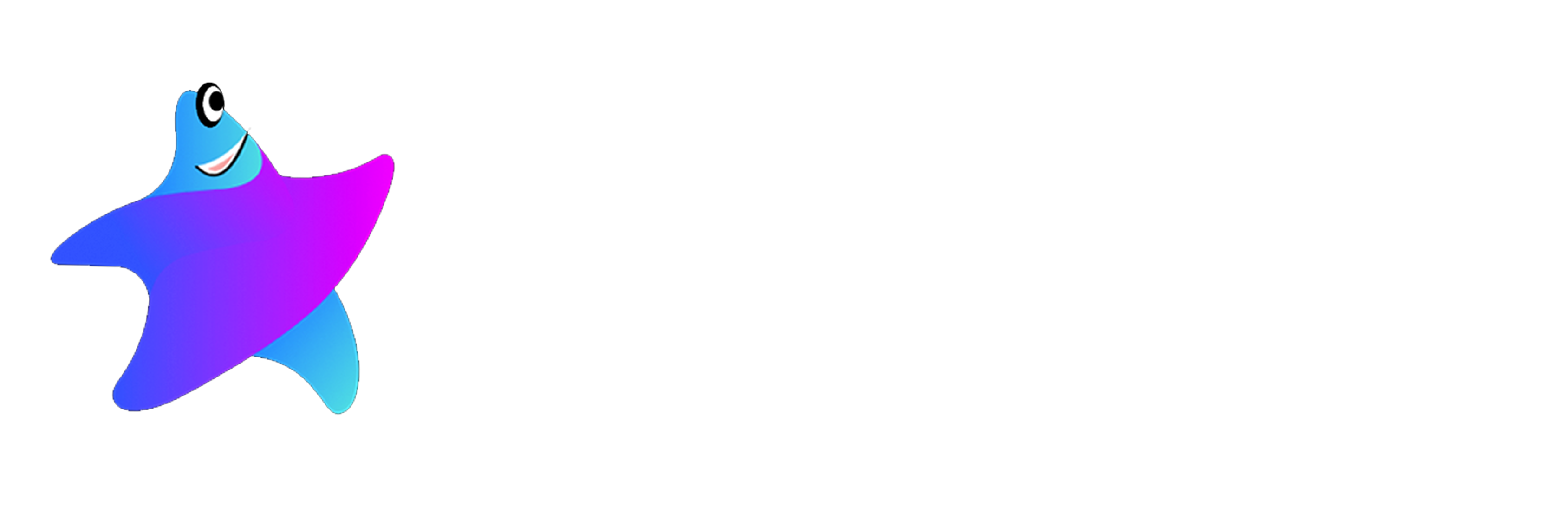 VELOZA partner logo