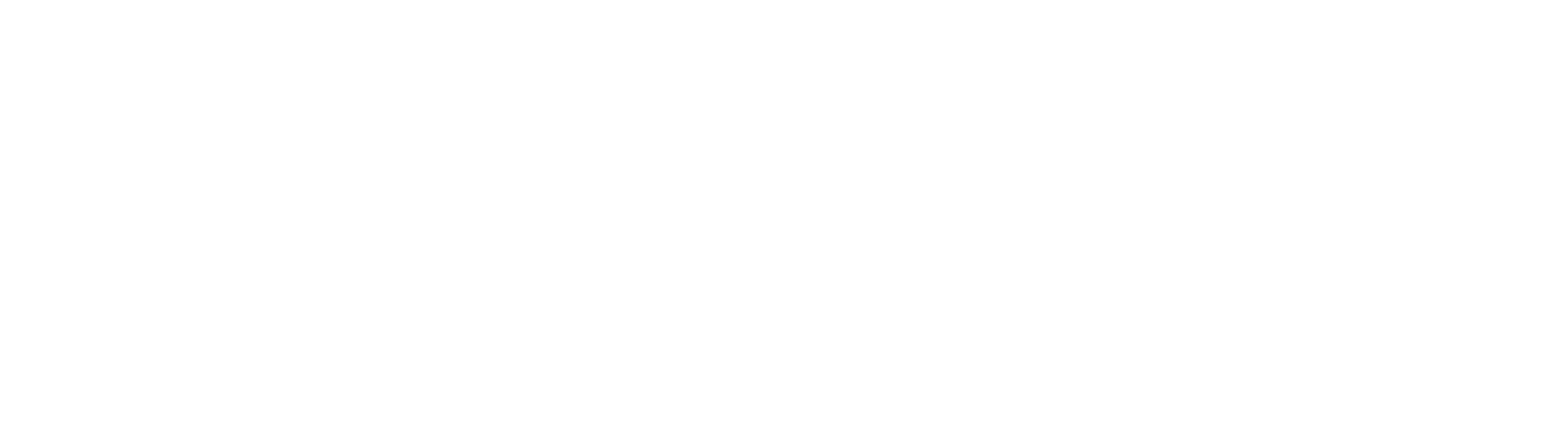 VELOZA partner logo